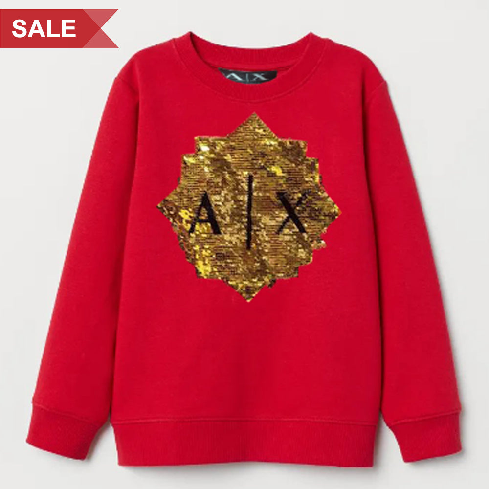 Premium Embellished  Pullover for Women