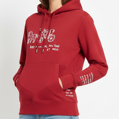 Premium Red New York Carriage Graphic Hoodie