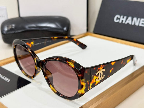 Luxury Brand Round Sunglasses with Gold Logo