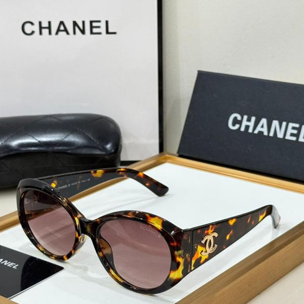 Luxury Brand Round Sunglasses with Gold Logo