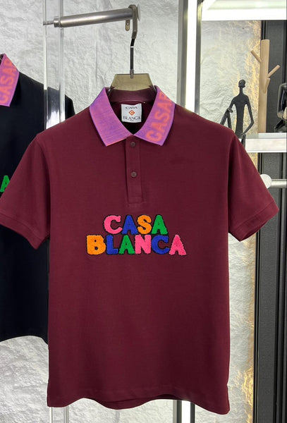 Premium Polo T-Shirt with Contrast Collar & Multicolor Logo