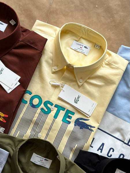 Premium Brand  Button-Down  Shirts Collection