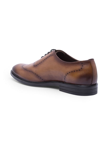 Treemoda Brown Leather Brogues For Men