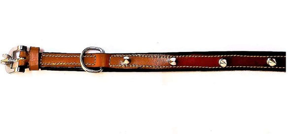 Leather Spike Stud Dog Collar for Medium Size Dog Breed