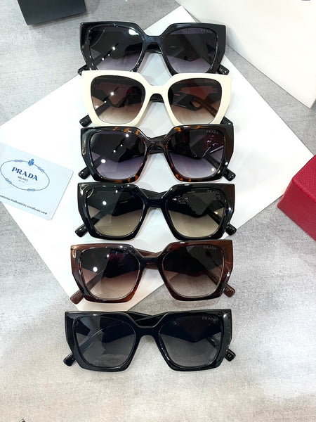 Imported Symbole Sunglasses