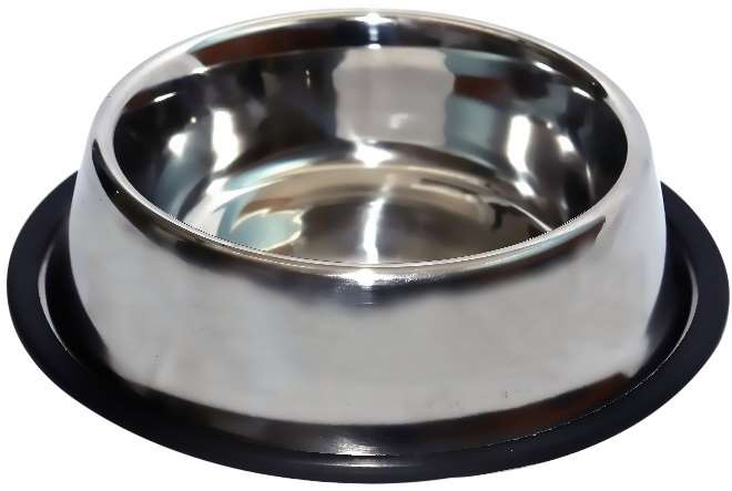 Anti-Skid Stainless Steel Dogs Feeding Bowl with Black Ring